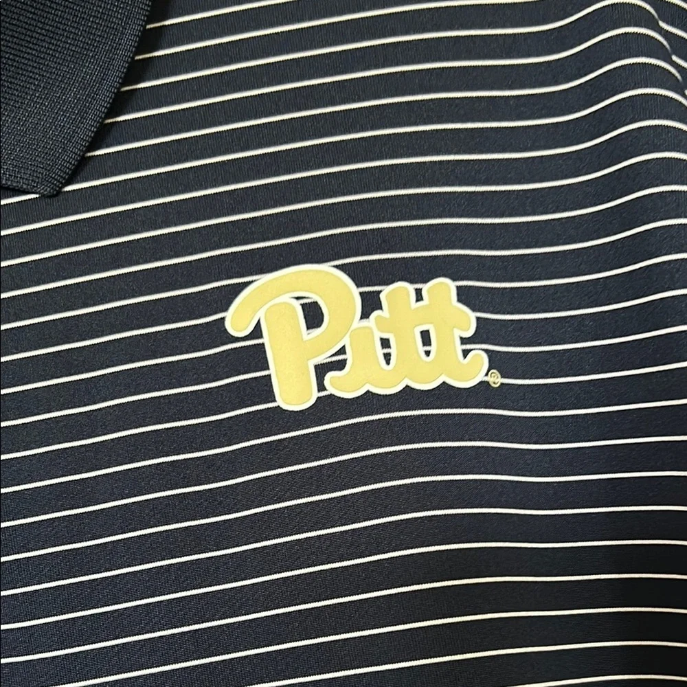 Nike Men's Pitt Blue and White Striped Polo Shirt - Picture 3 of 5